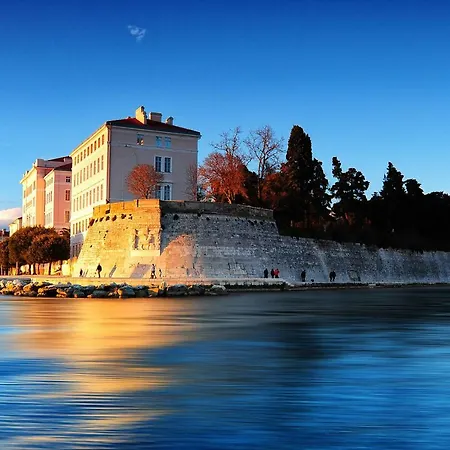 Patty Sweet Zadar